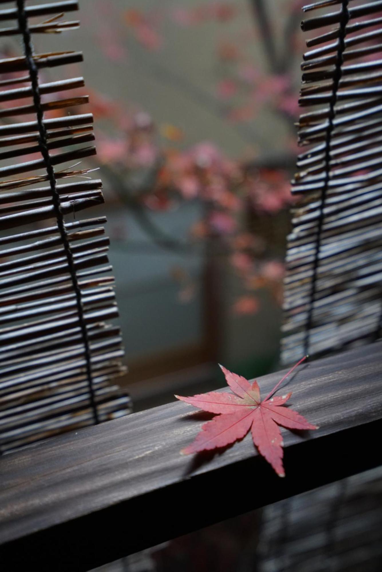 Ryokan Tori Кіото Екстер'єр фото