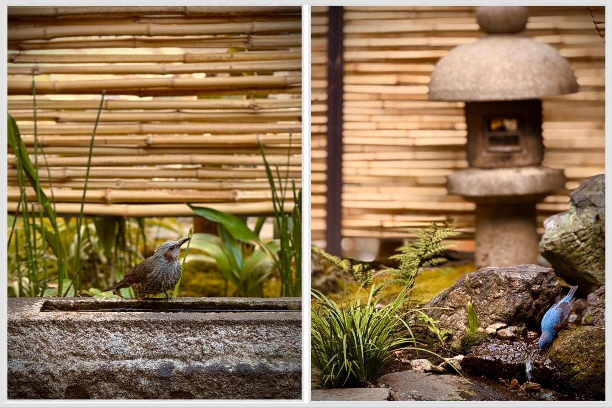 Ryokan Tori Кіото Номер фото